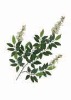 Wholesale Artificial Leaves