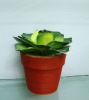 Wholesale artificial cactus,artificial potted cactus,artificial desert plant