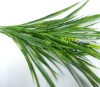 Wholesale Artificial plant-wheat