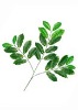 Wholesale Artificial Leaves