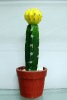Wholesale artificial cactus,artificial potted cactus,artificial desert plant