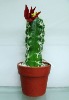 Wholesale artificial cactus,artificial potted cactus,artificial desert plant