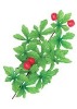Wholesale Artificial Leaves