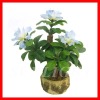 Wholesale Artificial bonsai