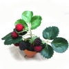 Artificial bonsai,Decoration bonsai,Mini artificial plant