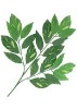 Artificial Leaves
