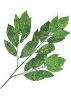 Artificial Leaves
