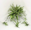 Artificial Spider Plant Bush
