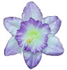 Silk Flowers