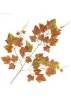 Artificial Leaves
