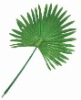 Artificial Leaves