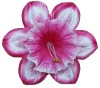 Silk Flowers
