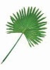 Artificial Leaves