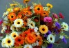 artificial flowerlet