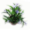 Potted plant,Decoration bonsai,Artificial plant bonsai