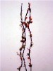 Natural Flowers Artificial Dry Flower YX