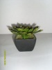 Artificial Desert Plants