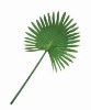 Artificial Leaves