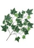 Artificial Leaves