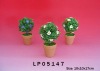 Potted Plants