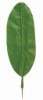 Artificial Leaves