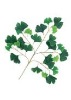 Wholesale Artificial Leaves