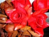 Wholesale Natural Flowers Artificial Dry Flower YX