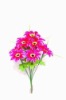Wholesale Daisy Bush