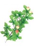 Artificial Leaves