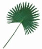 Artificial Leaves