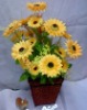 plastic chrysanthemum