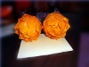 Natural Flowers Artificial Dry Flower YX