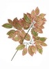 Wholesale Artificial Leaves