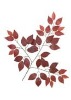 Wholesale Artificial Leaves