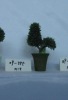 Wholesale miniascape