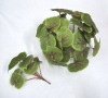 Wholesale artificial greenery bush-begonia