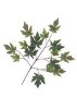 Wholesale Artificial Leaves