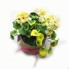 Wholesale Artificial bonsai,Decoration bonsai,Artificial plant bonsai