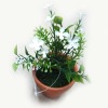 Wholesale Bonsai flower,Decoration bonsai,Artificial plant bonsai