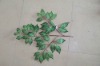 Artificial leaf