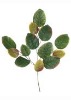 Wholesale Artificial Leaves