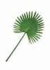 Wholesale Artificial Leaves