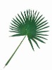 Wholesale Artificial Leaves