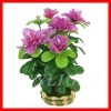Wholesale Artificial bonsai