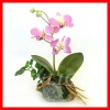 Wholesale Artificial bonsai
