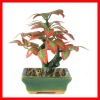 Wholesale Artificial bonsai