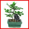 Wholesale Artificial bonsai