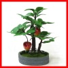 Wholesale Artificial bonsai
