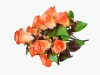 Wholesale new artificial flower