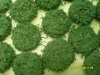 Wholesale Artificial desert plants(green)